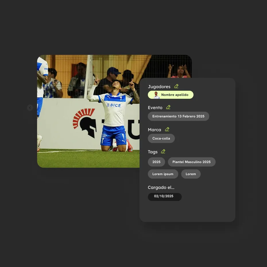 PlayerSnap — Executive summary